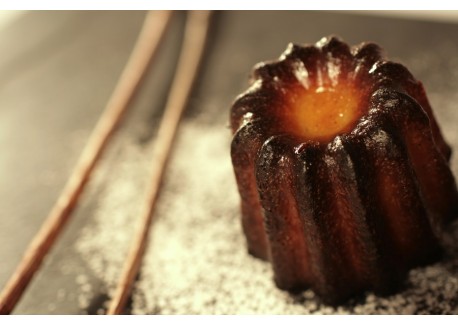 Elastomoule Siliconen Bakvorm 6 Canelés-vorm