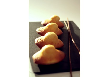 Elastomoule Moule Silicone à 8 Madeleines