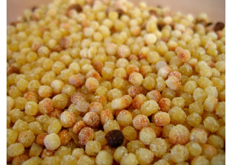 Fregola Sarda Tostata 500 g