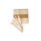 Easy Cream Set 100 Sticks voor Ijsvorm