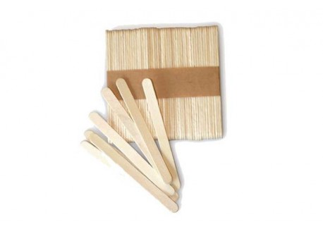 Easy Cream Set 100 Sticks voor Ijsvorm