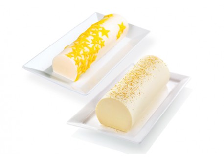 Moule Rigide + Feuille en Silicone 3D Bûche Starlight