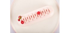 Kit Pop Eclair Moule en Silicone 3D