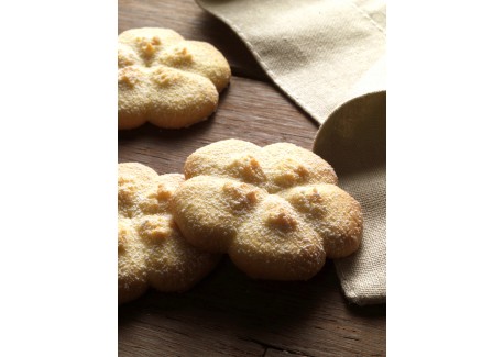Presse à Biscuits Rouge
