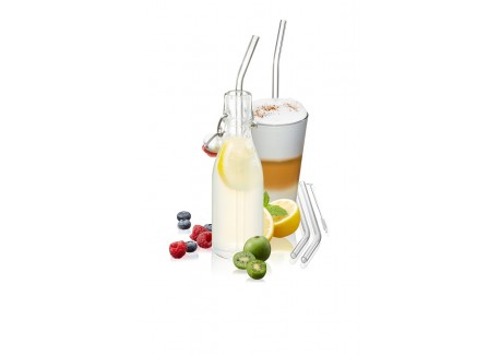 Glazen herbruikbare drinkrietjes 4 dlg + Flessenborstel