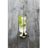 Zie dia Barlepel uit RVS Metallic Zwart 30,5 cm