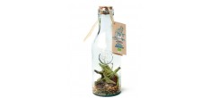 Bouteille Mélange pour Rhum Arrangé Bio Fèves de Cacao/Cannelle 