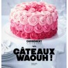 Voir la slide 100 Recettes de Gâteaux Waouh!