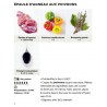 Voir la slide Simplissime Cocottes