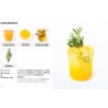 Zie dia Simplissime Cocktails Sans Alcool