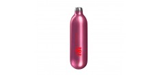 Recharges Pro Gaz N20 pour Siphon de Cuisine 10 pcs