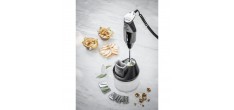 Mixeur Plongeant M250 Swiss Line Noir 250W Super Box