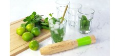 We Are Mojitos Mojito Geschenkdoos, Doseerstamper, Recepten en Rietjes