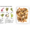 Voir la slide Simplissime Recettes Italiennes