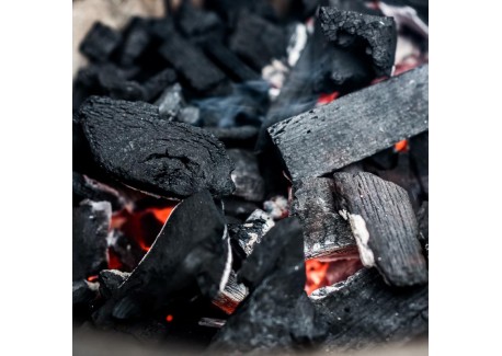 Charbon de Bois Naturel Hêtre et Charme de Qualité Supérieure 9 Kg