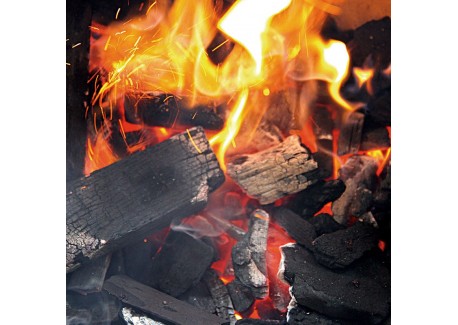 Charbon de Bois Naturel Hêtre et Charme de Qualité Supérieure 9 Kg