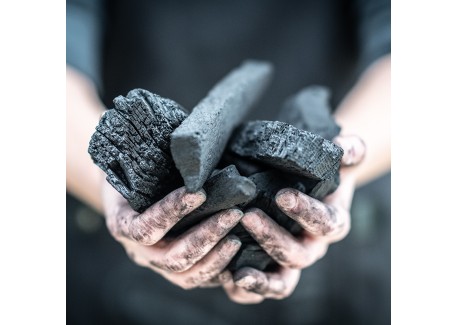 Charbon de Bois Naturel Hêtre et Charme de Qualité Supérieure 9 Kg