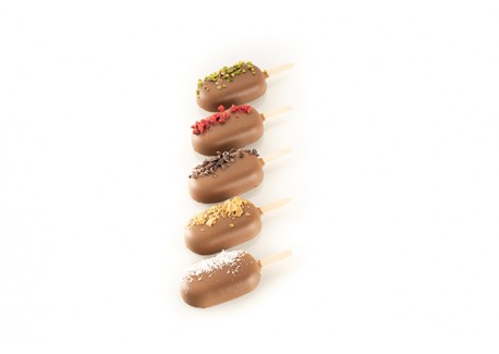 Gel01 Classic Moule 12 Glaces Magnums set 2 pcs