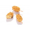 Voir la slide Gel01 Classic Moule 12 Glaces Magnums set 2 pcs