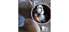 Pot à Ail avec Couvercle 1 L Noir Mat Truffe