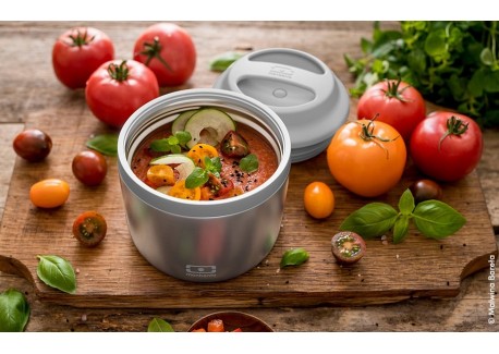 Element Bento LunchBox Geïsoleerd Zilvergrijs 550 ml