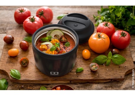 Element Bento LunchBox Isotherme Noir Onyx 550 ml