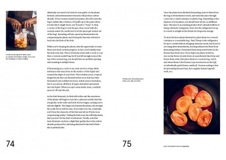 Le Guide de la Fermentation du Noma