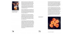 Le Guide de la Fermentation du Noma