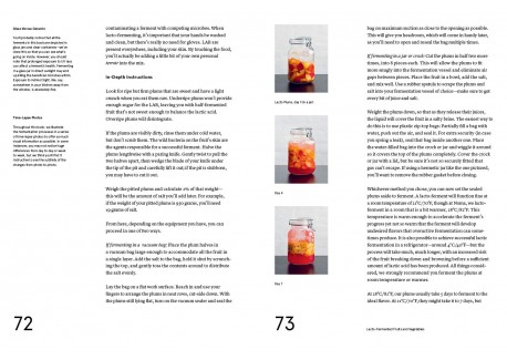 Le Guide de la Fermentation du Noma