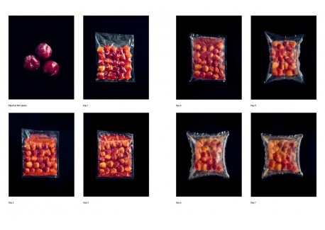 Le Guide de la Fermentation du Noma