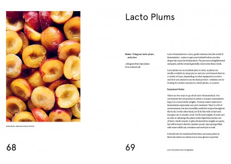 Le Guide de la Fermentation du Noma