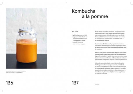 Le Guide de la Fermentation du Noma