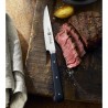 Zie dia Steak Steakmessen by Matteo Thun 6 dlg