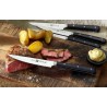 Zie dia Steak Steakmessen by Matteo Thun 6 dlg