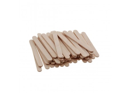 Easy Cream Set 100 Batonnets pour Moule à Glace Mini Magnum