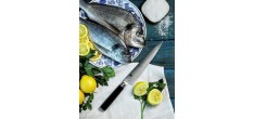 Shun Classic Couteau à Filet 18 cm