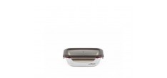 Flora Rechthoekig RVS Magnetron Box 580 ml