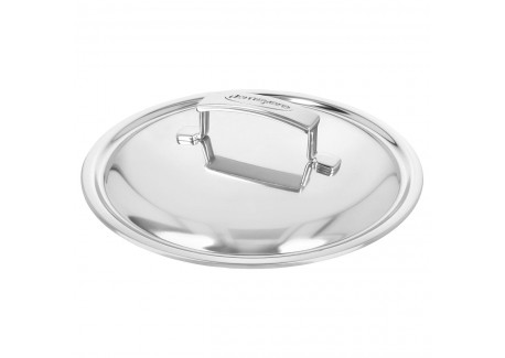 Silver 7 Kookpot RVS 22 cm 4 L met Deksel