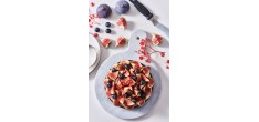 Geperforeerde Ronde Taartvorm Valrhona 20,5x2 cm