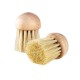 Hout Champignon Borstel