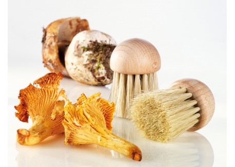 Hout Champignon Borstel