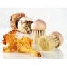 Voir la slide Brosse à Champignons en Bois