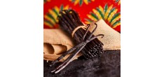 Gousses de Vanille de Madagascar Bio 3 pcs