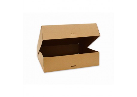 Set van 2 Kartonnen Dozen voor Taart 32x32x8 cm