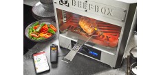 Control Thermomètre Sonde de Cuisson Bluetooth 1 Canal