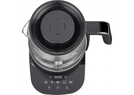 Enfinigy Black Bouilloire Electrique en Verre Température Réglable 1,7