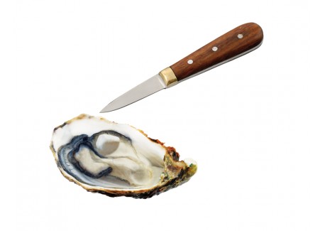 Couteau Huître Manche en Bois