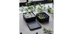 Square Bento LunchBox Noir Made in France 1,7 L