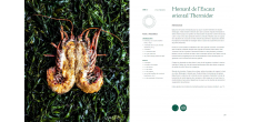 Modus Operandi The Big Green Egg KoekBook Franse Versie