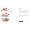 Voir la slide Modus Operandi The Big Green Egg Livre de Recettes Français